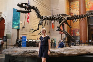 Dinozaur w Muzeum Historii Naturalnej, Nowy Jork
