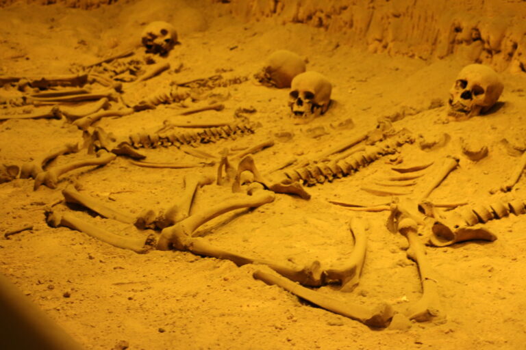 Szczątki w Muzeum Antropologii - atrakcje Mexico City, co zobaczyć?