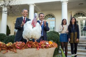 Podczas Thanksgiving prezydent przed Białym Domem uwalnia indyka