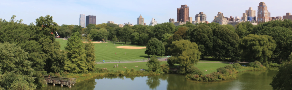 Central Park, Nowy Jork - panorama