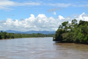 Amazońska dżungla w Peru
