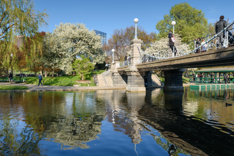 Atrakcje Bostonu - Publica Garden