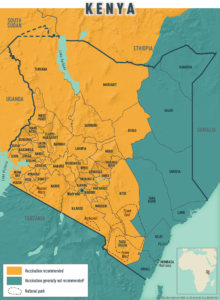 Bezpieczeństwo w Kenii: żółta febra