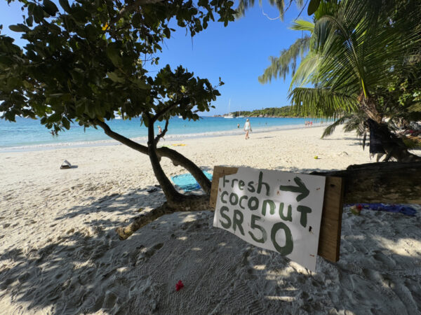 Seszele - świeże kokosy na plaży, Praslin