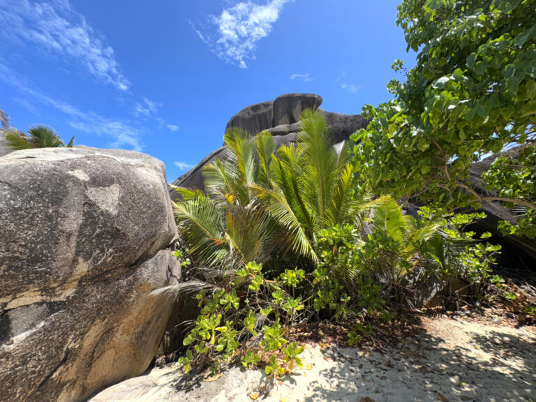 Anse Source d’Argent Seszele