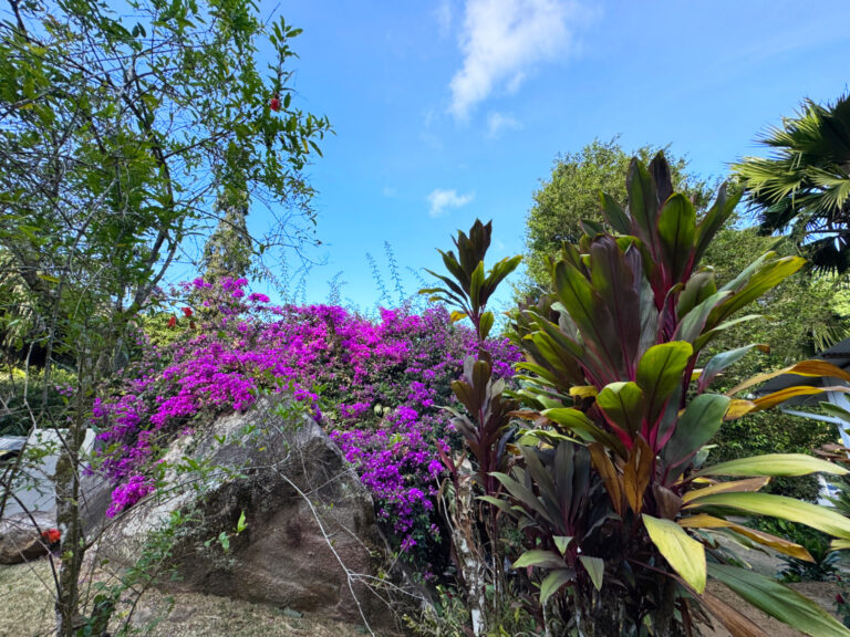 Jardin du Roi Spice Garden