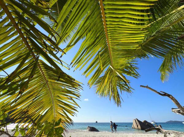 Seszele - plaża na Praslin - Anse Lazio
