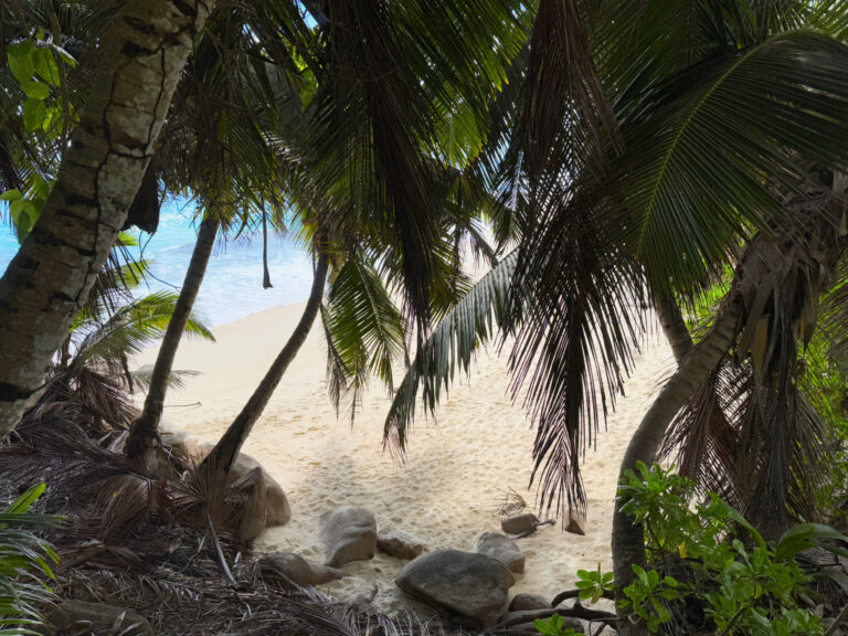 Anse Bazarca Mahe