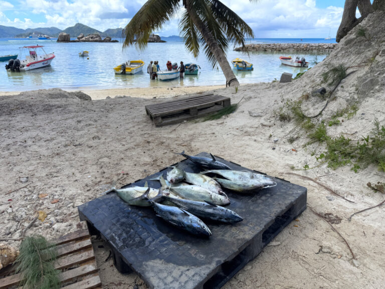 Ryby La Digue