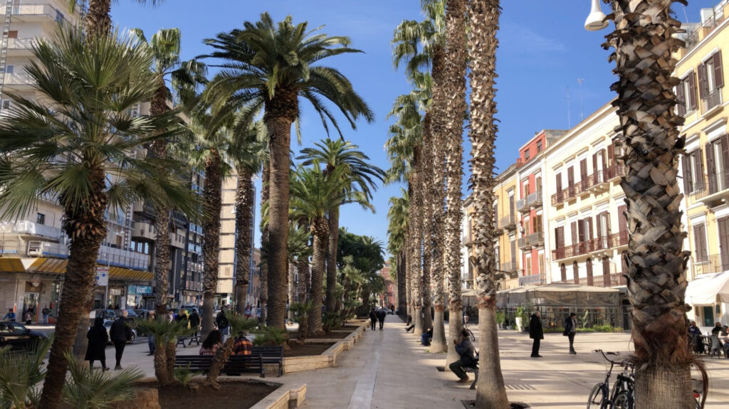 Bari Vecchia i Murat