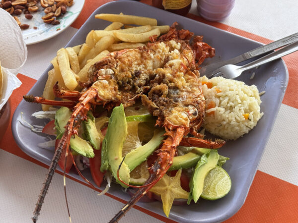 Homar na plaży w Oaxaca