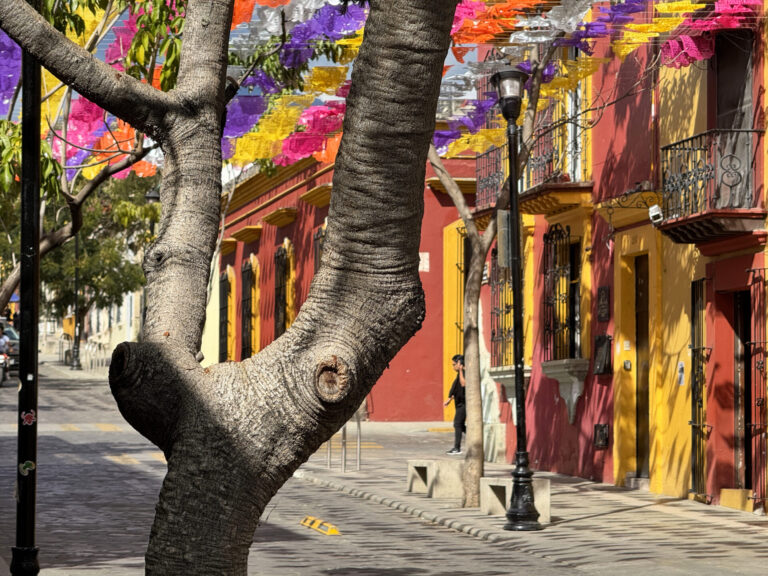 Kolorowe budynki w Oaxaca