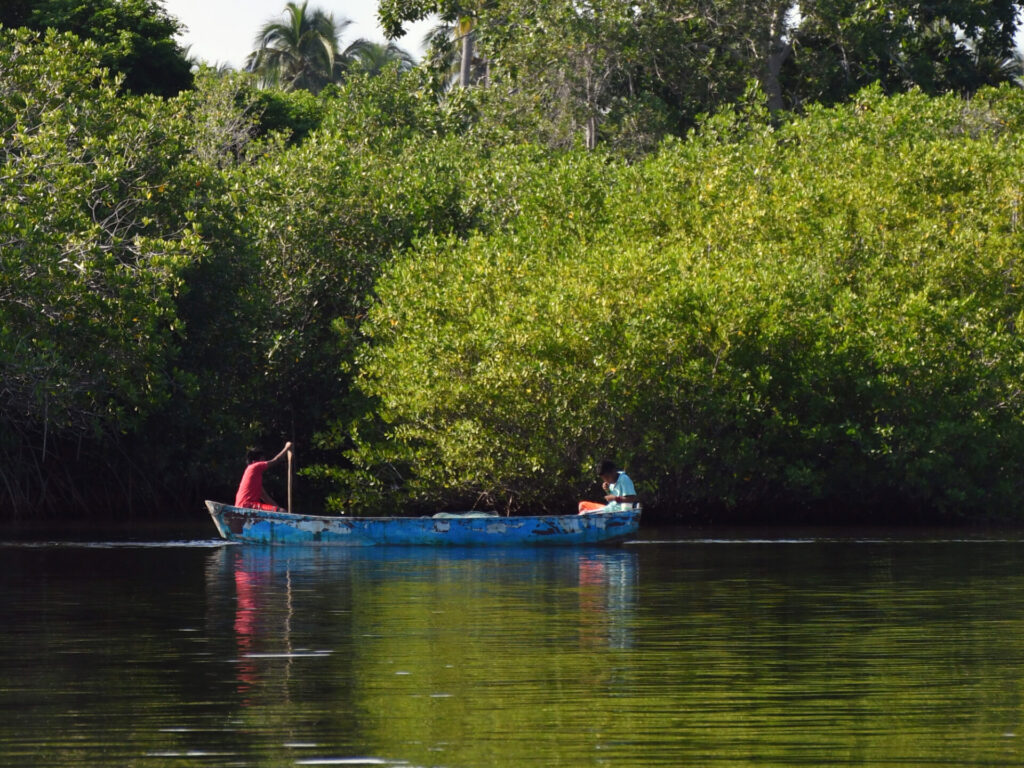 Park Narodowy w Oaxaca