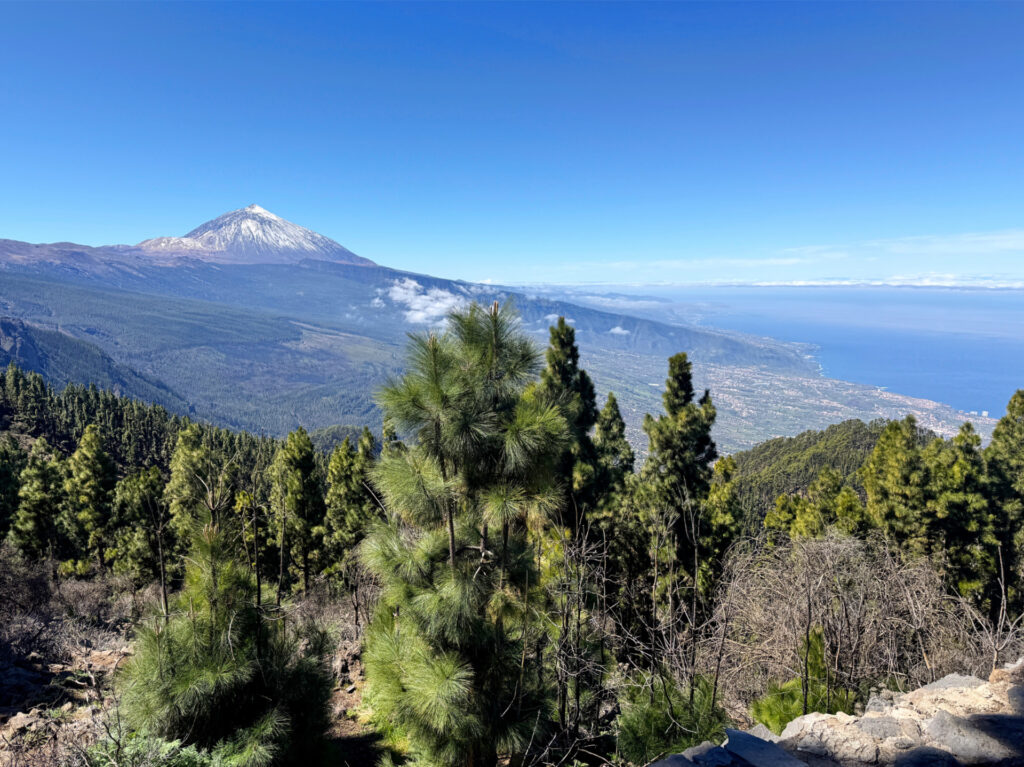 Teneryfa: Teide widziane z Corona Forestal