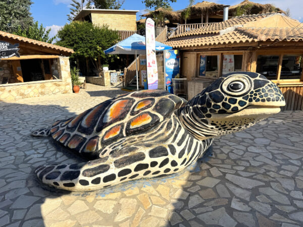 Zakynthos Turtle Rescue Center